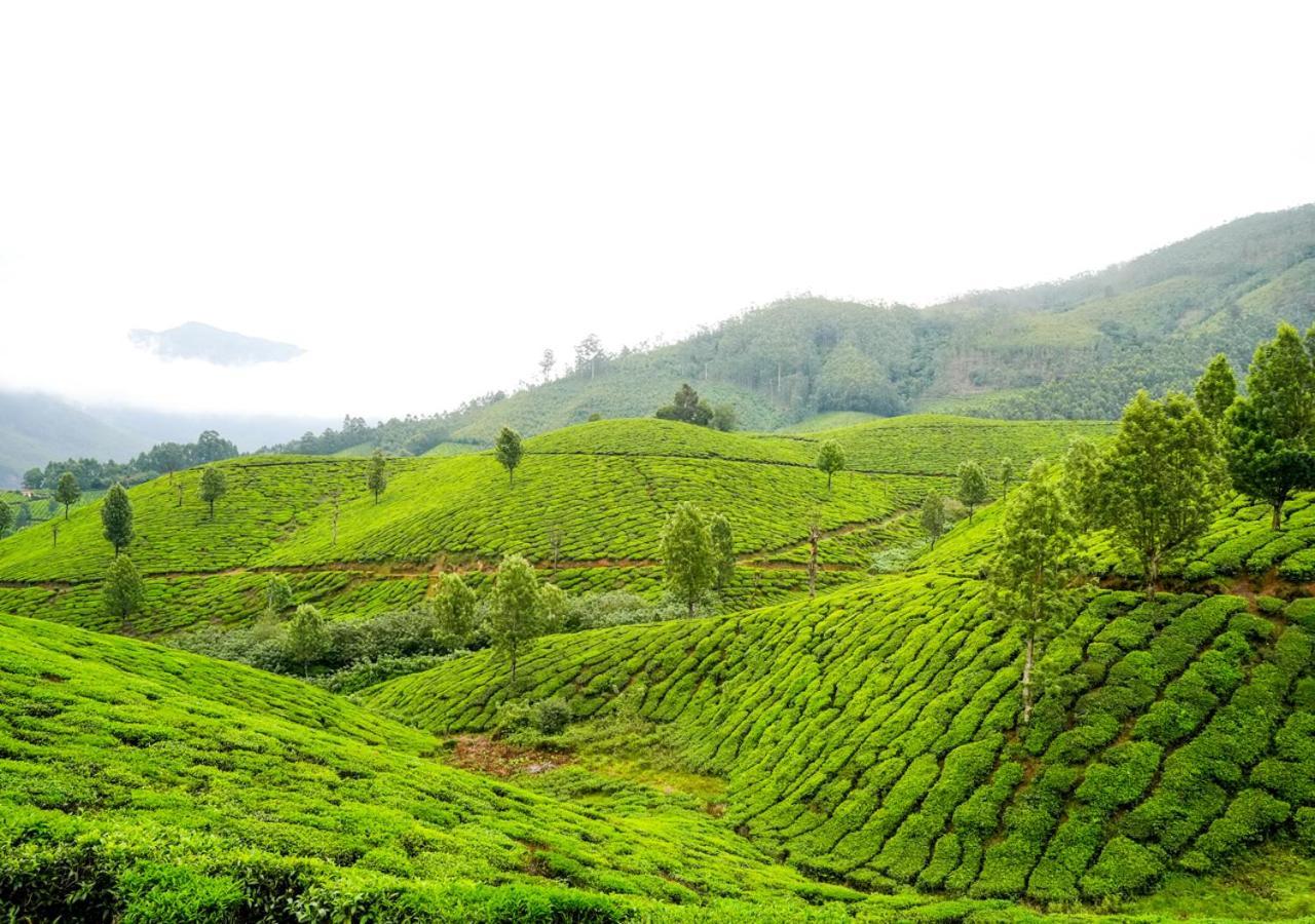 Arivikad Tea Bungalow Munnar By Voye Homes Suryanelli Exterior foto